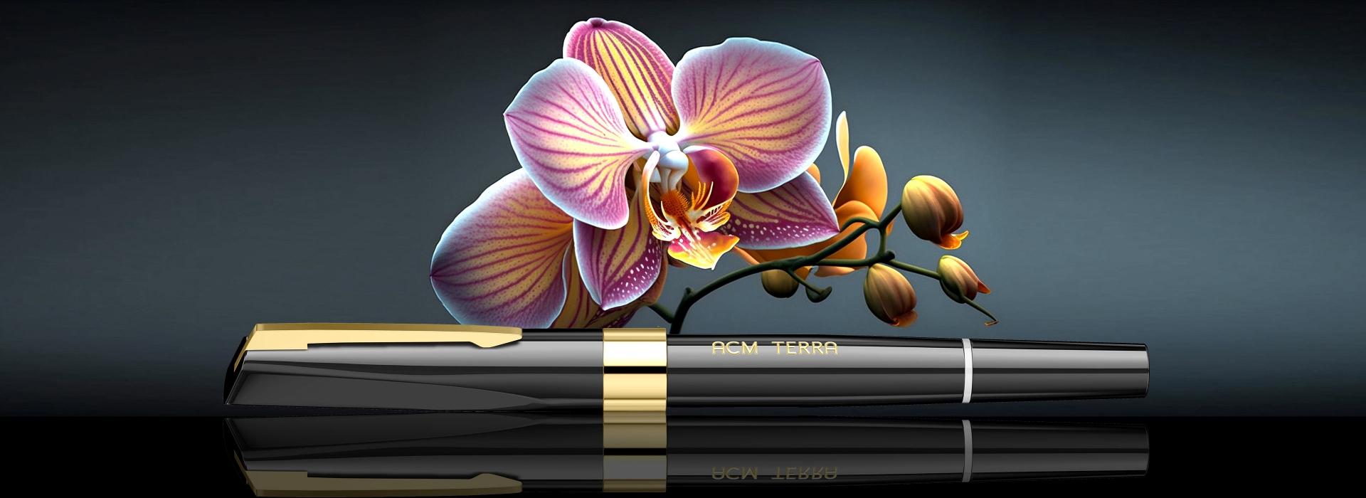 aiq_title_site-gallery-image